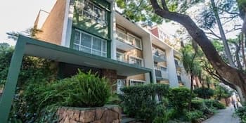 50 on Shepherd Rosebank