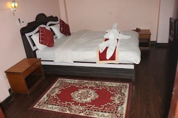 Festoon Hotel
