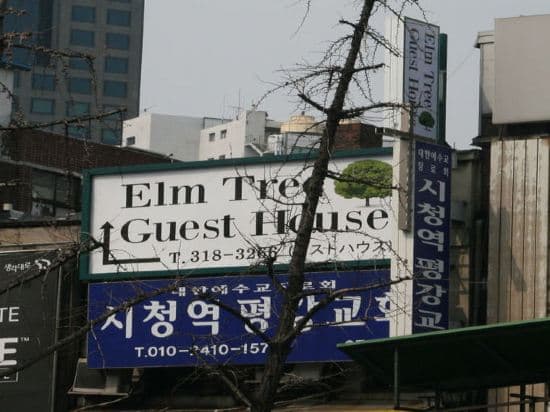 Elm Tree Guesthouse Myeongdong
