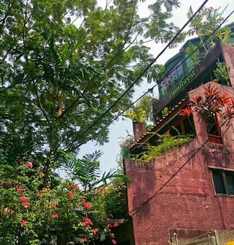Rainforest Bed & Breakfast