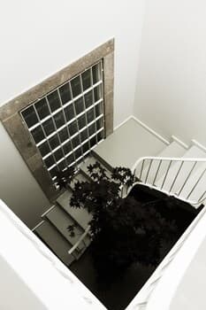 Souto Guest House