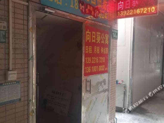 Sunflower Hostel