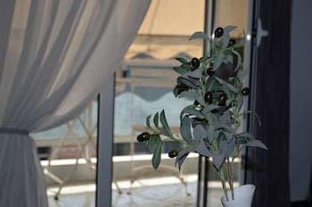 Kallirrois Apt - Sweet Home 4