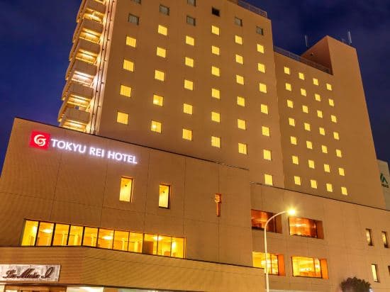 Matsumoto Tokyu Rei Hotel