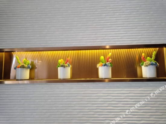 Homeinn Selected(Century Avenue Metro Station, Lujiazui, Shanghai)