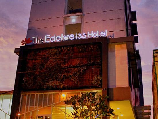 The Edelweiss Hotel