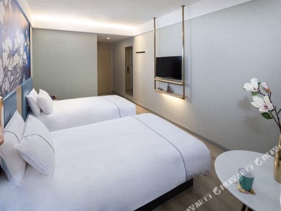 Hanting Hotel (Shanghai Longyang Road Subway Station)
