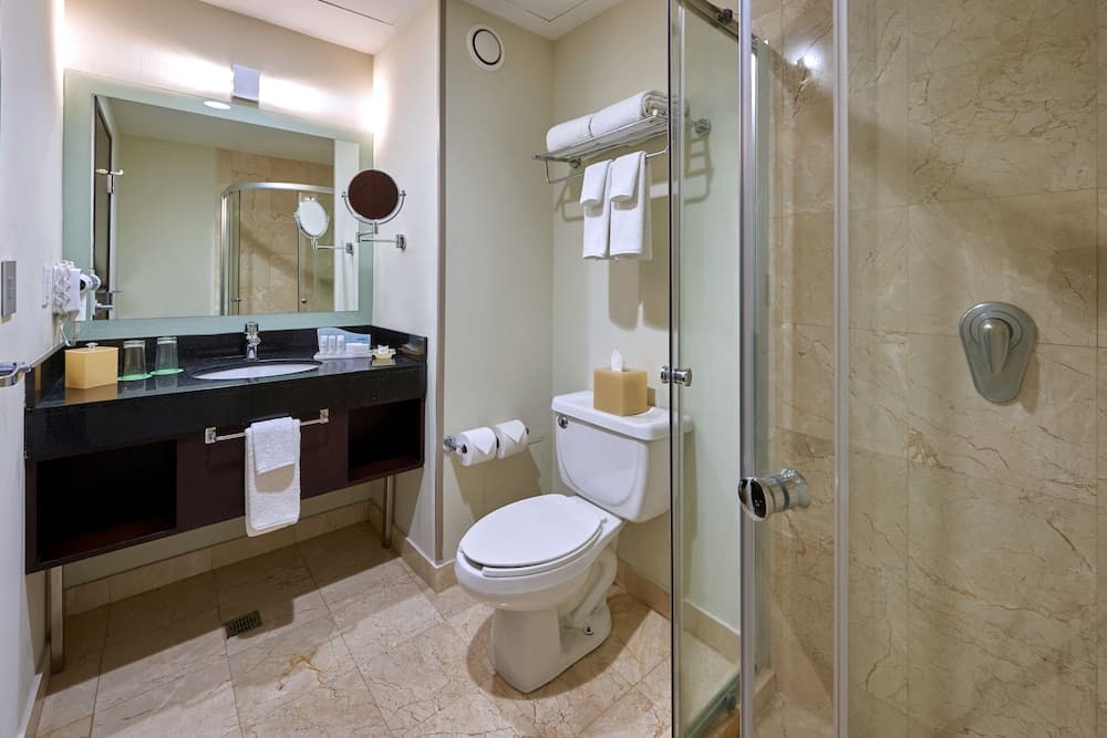 Wyndham Garden Mexico City - Polanco