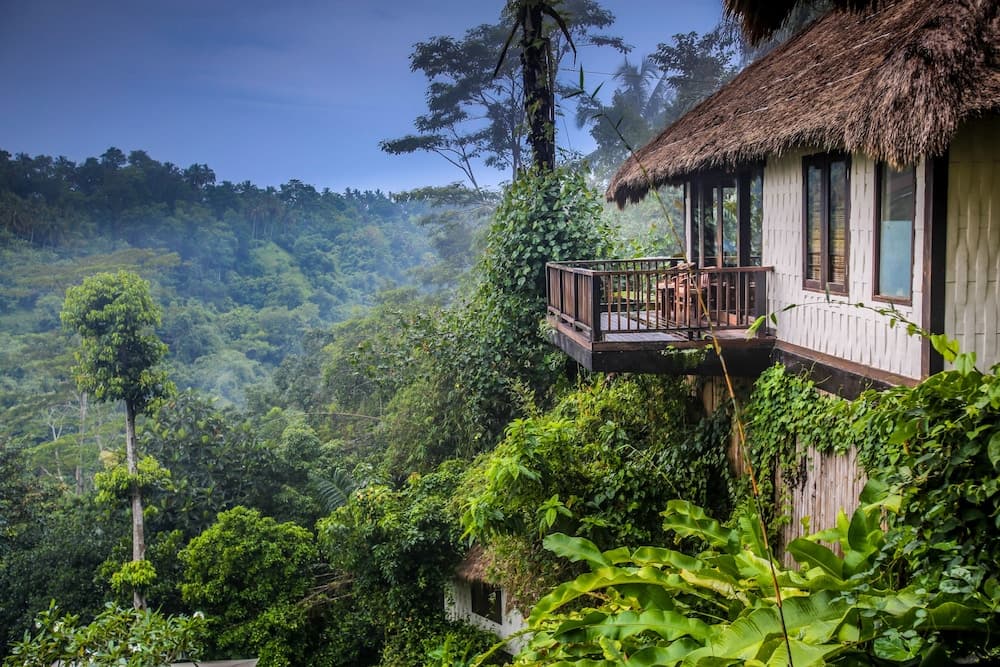 Nandini Jungle by Hanging Gardens