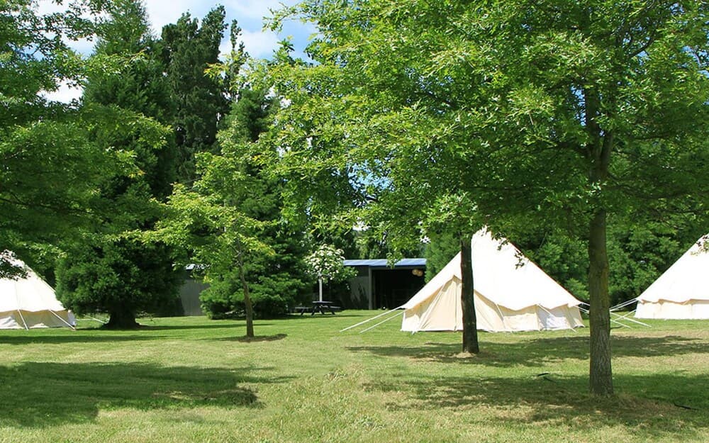 Criffel Station Farmstay