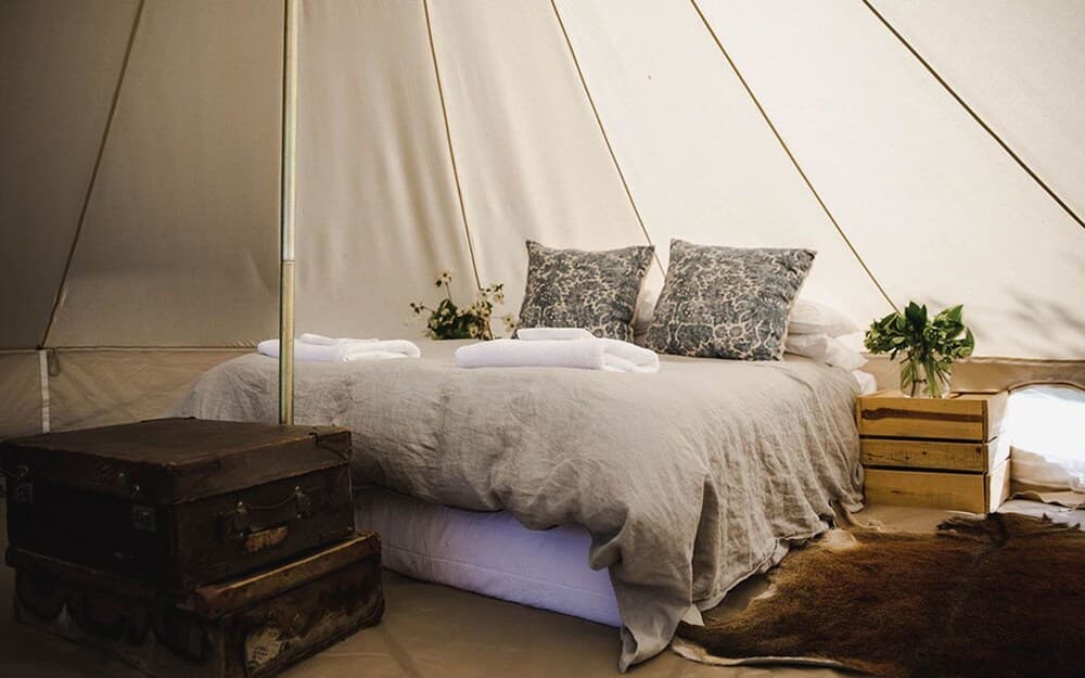 Criffel Station Farmstay