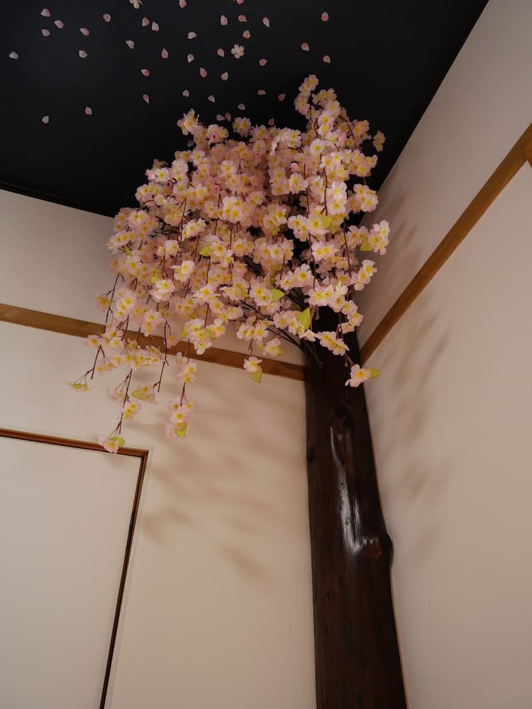 Sakura Aburaya
