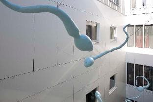 Art'Otel Amsterdam, Powered by Radisson Hotels