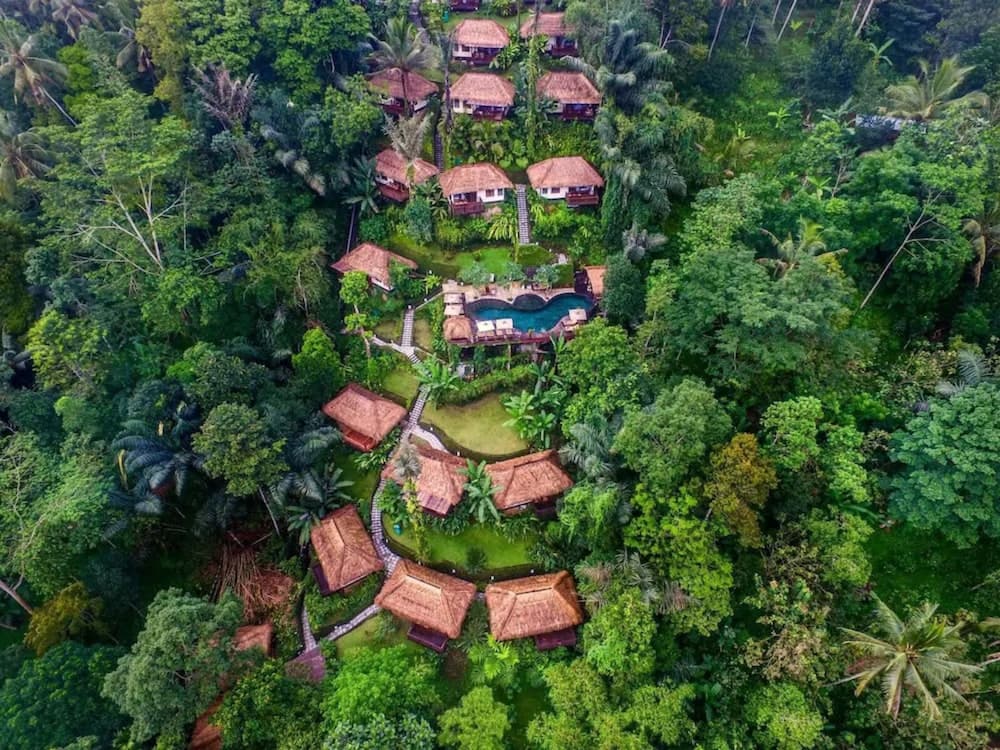 Nandini Jungle by Hanging Gardens