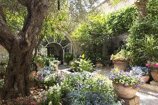 The American Colony Hotel – Small Luxury Hotels of the World
