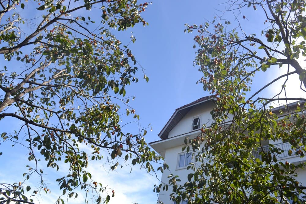 Hong Mon Villa