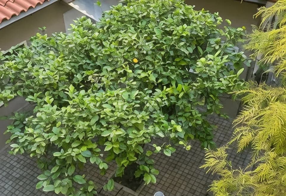 Athens Koukaki Boutique Apartments