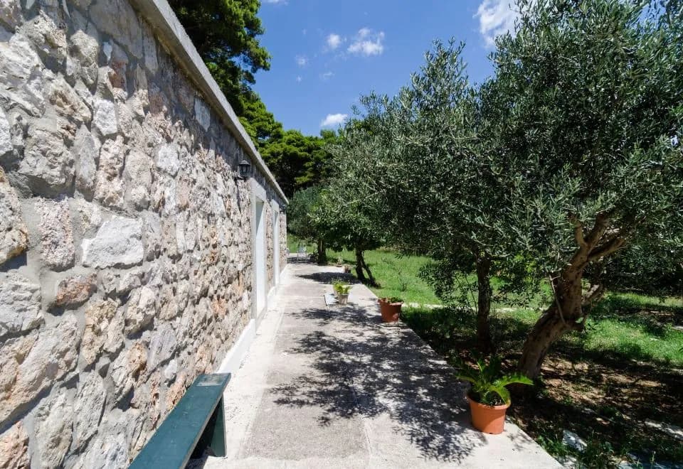 Apartments & Rooms Tapera