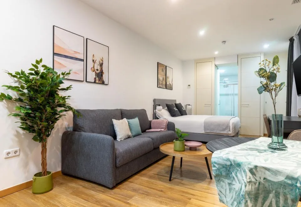 limehome Madrid San Lorenzo