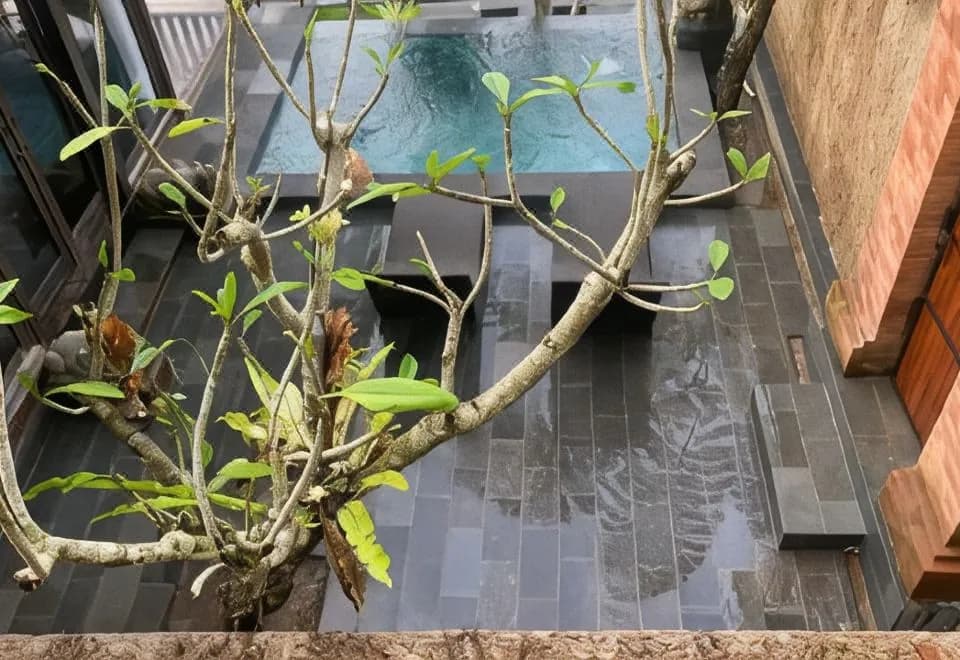 Sebatu Tulen Villa