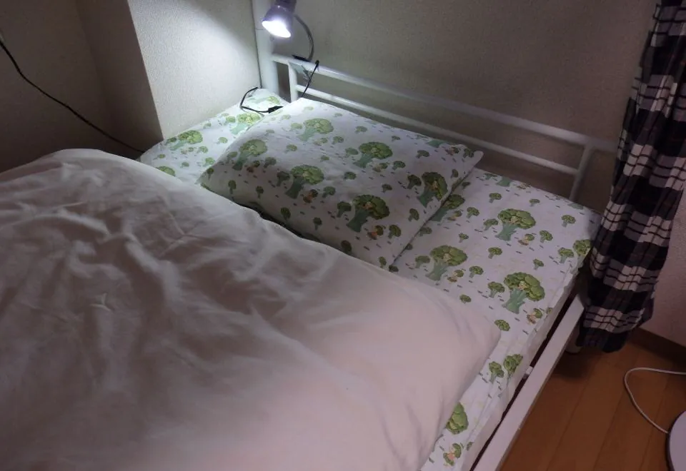 Backpacker's Mini House