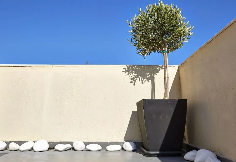 Le Blanc Suite
