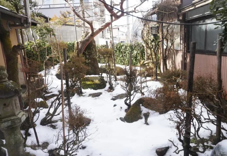 Hostel Murasaki Ryokan