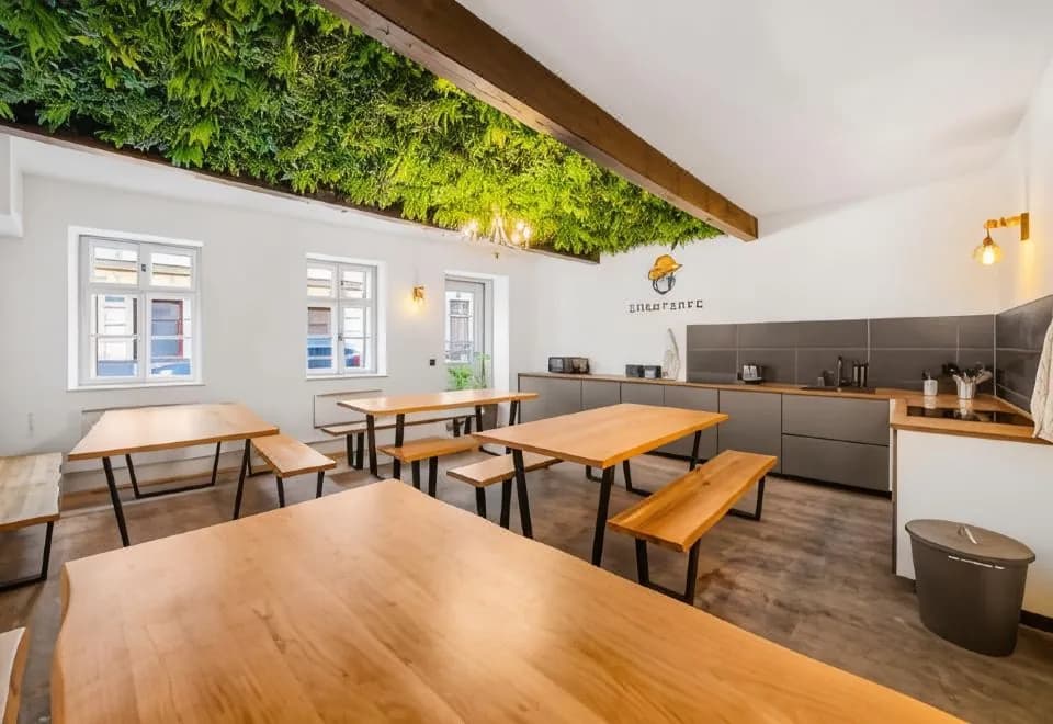 Stadtaffe - Chic Hostel VIE