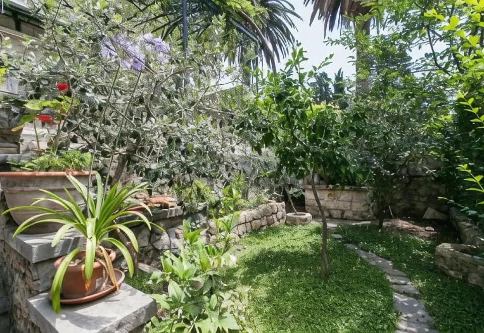 Rooms Posat