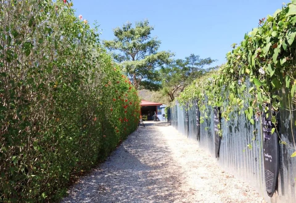 Sirena Serena B&B Retreat
