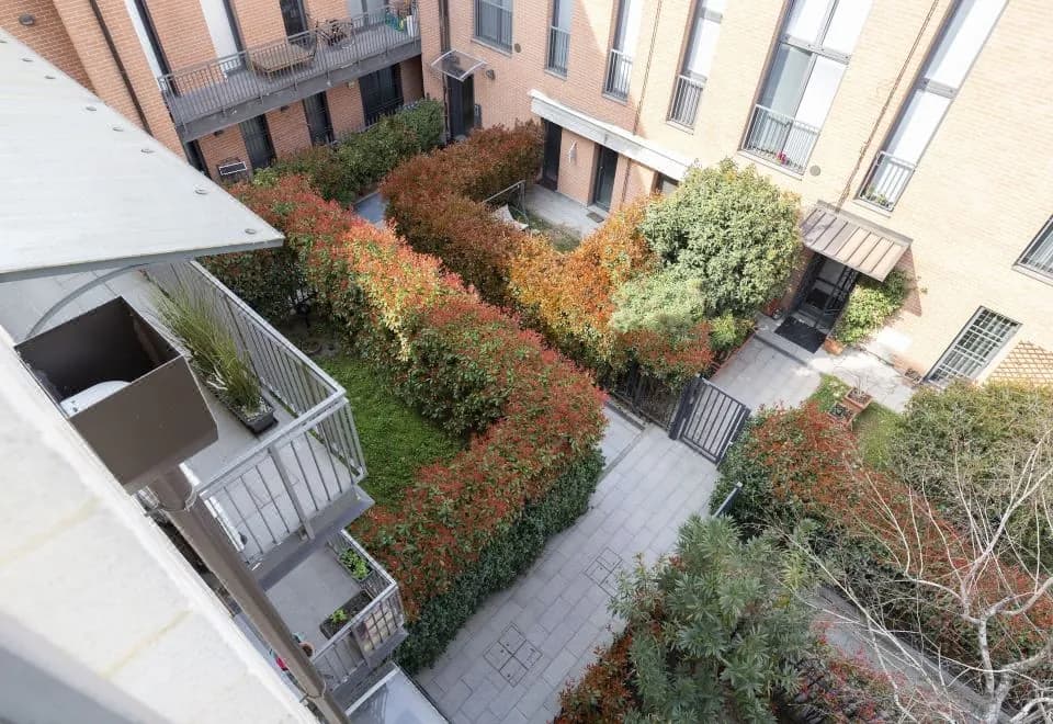 Salomone - Mecenate District