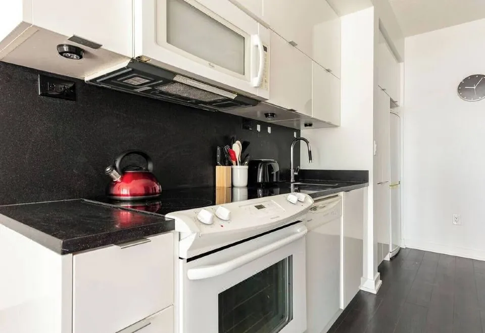 Downtown Toronto Luxury Condo
