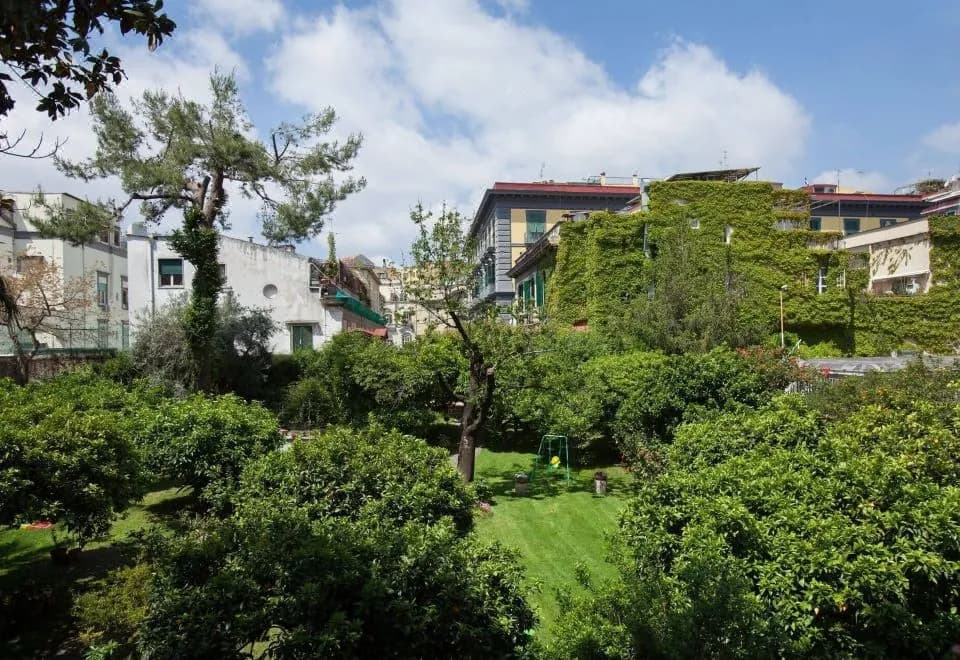 The Bellini House by House in Naples