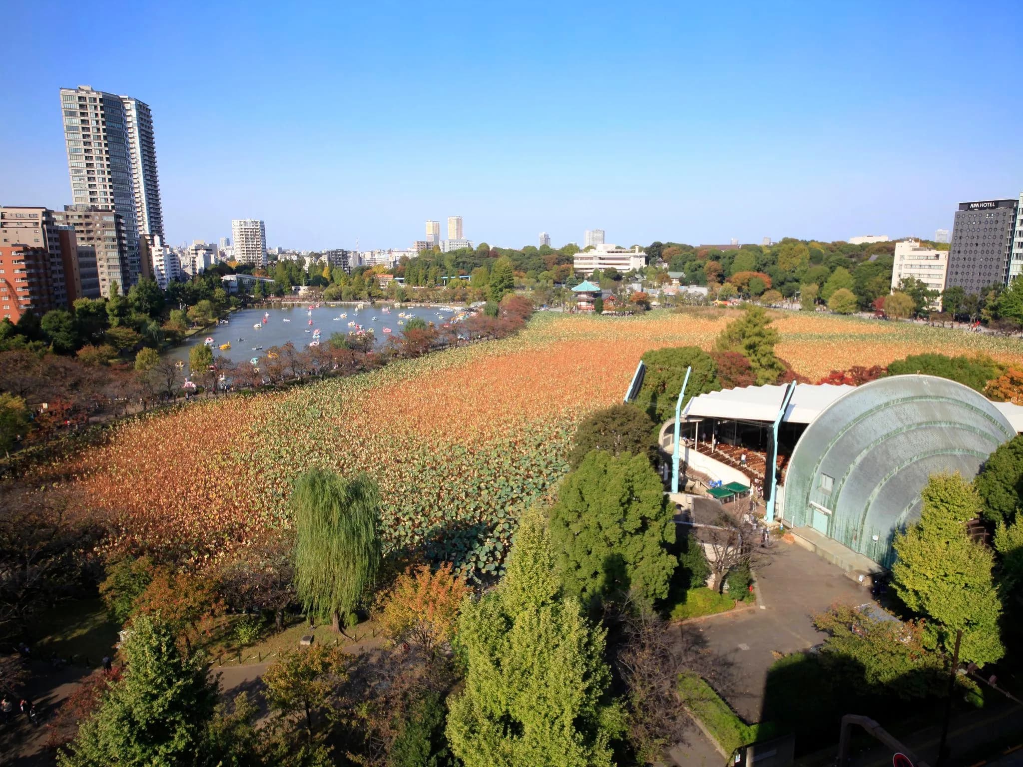 Centurion Ladies Hostel Ueno Park (Female Only)