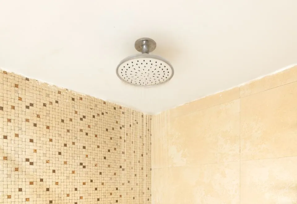 Vastu Boutique Hotel