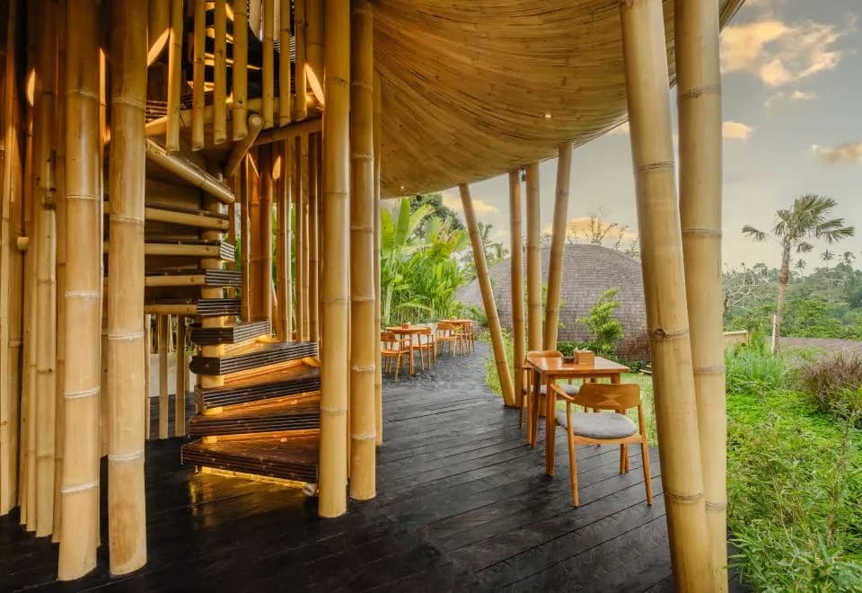 Jungleight Bali