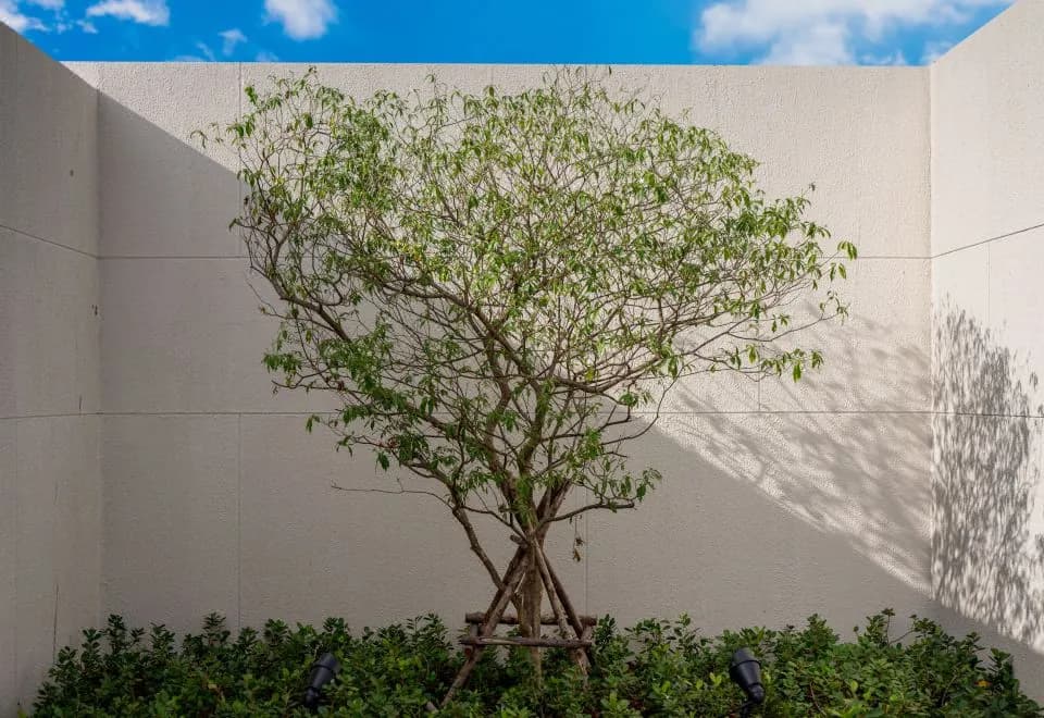 Niranapa Boutique Resort