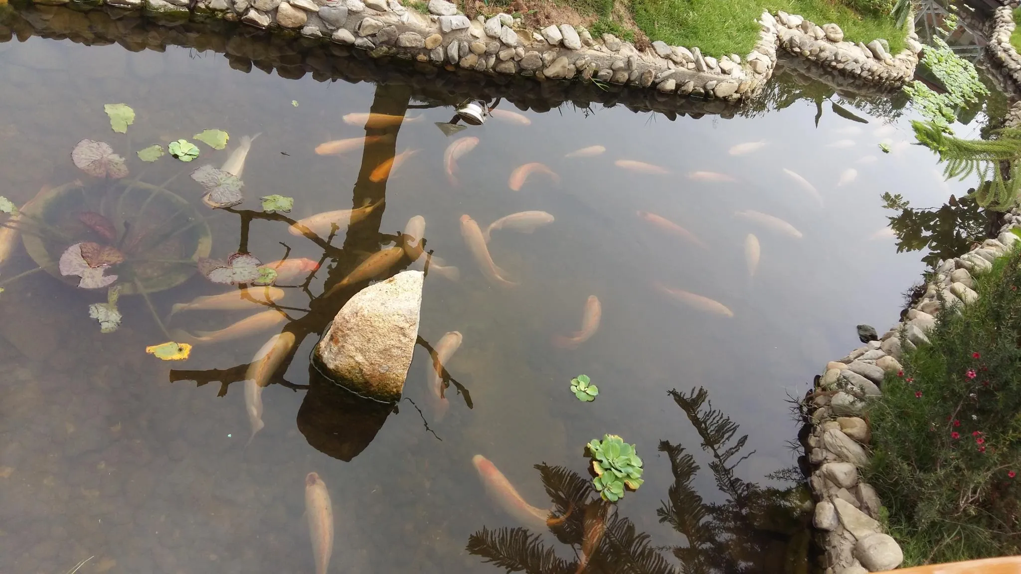 Bach Duong Villa