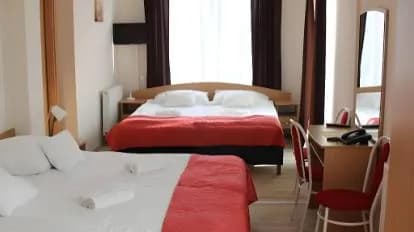 Hotel Papillon