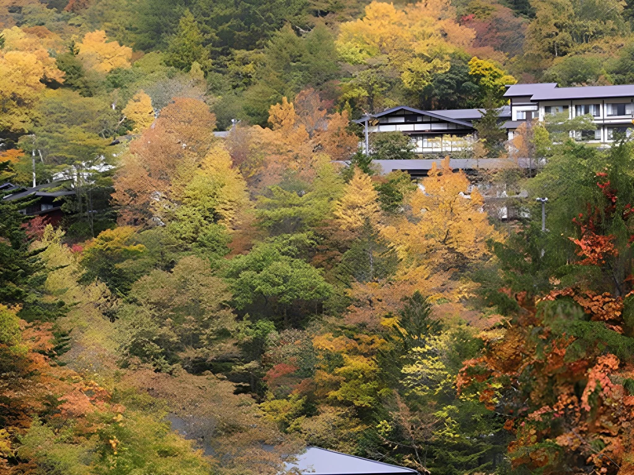 Shirahone Ebisuya