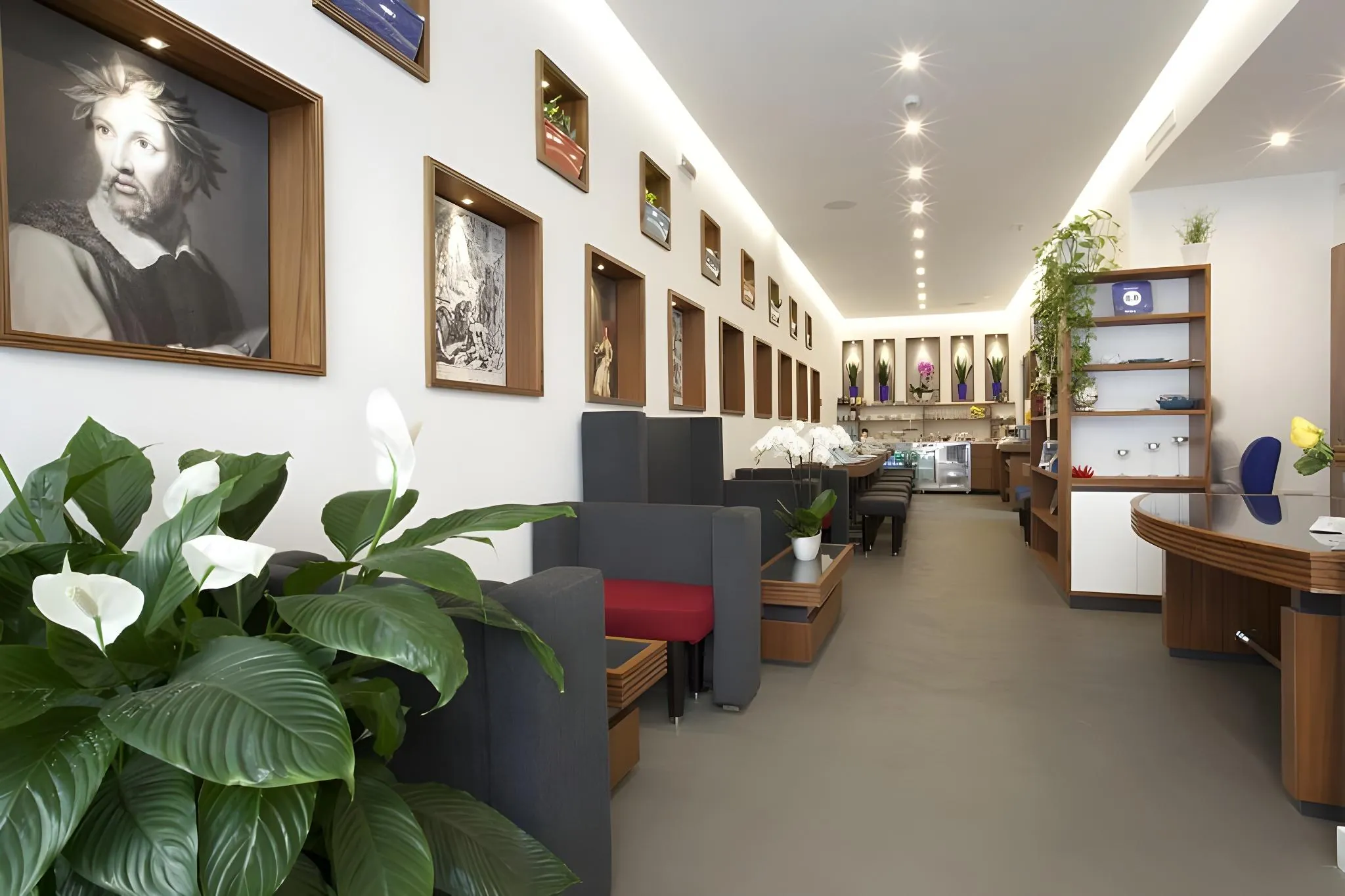 Tasso Suites