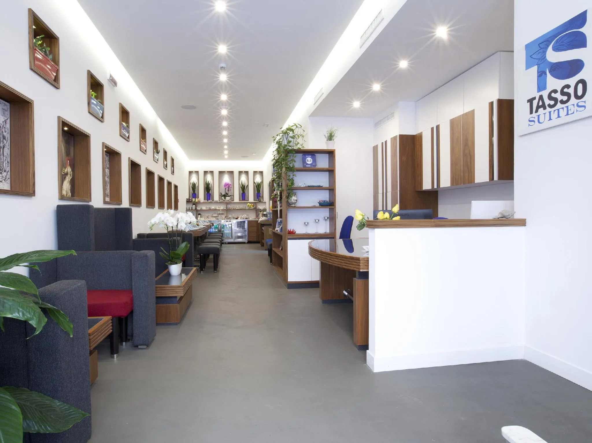 Tasso Suites