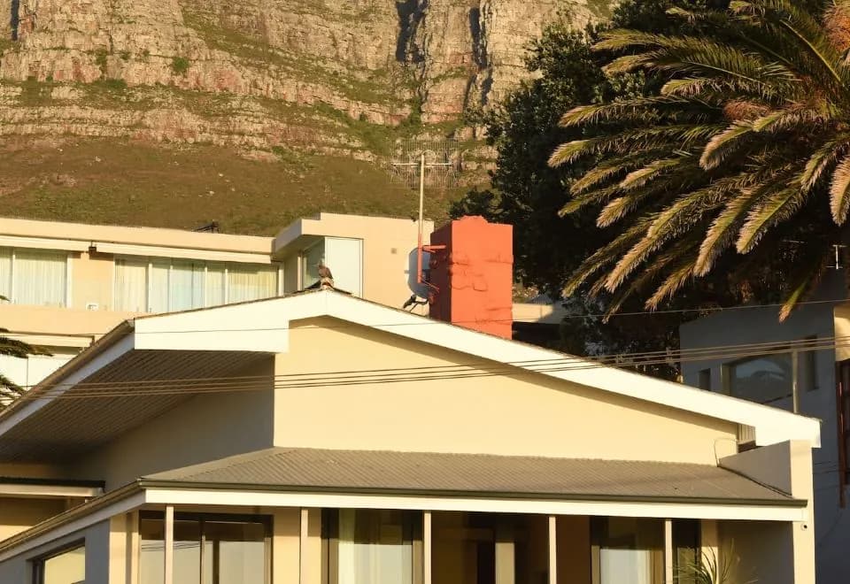 51 on Camps Bay