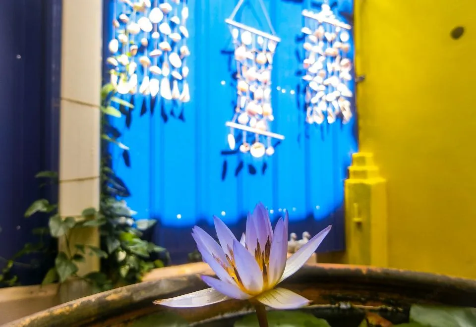 Amethyst Love Guesthouse