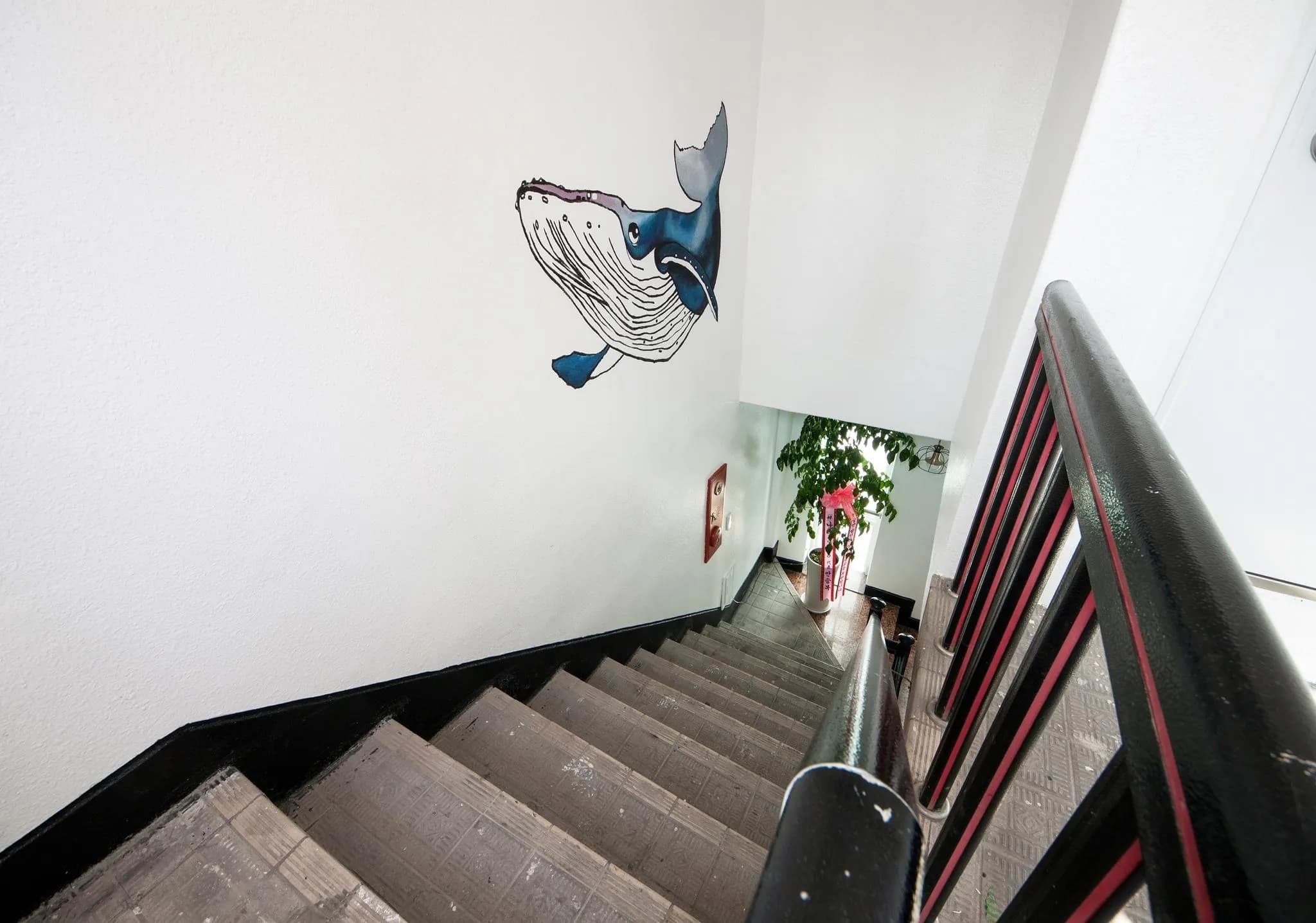 K-Guesthouse Dongdaemun 5