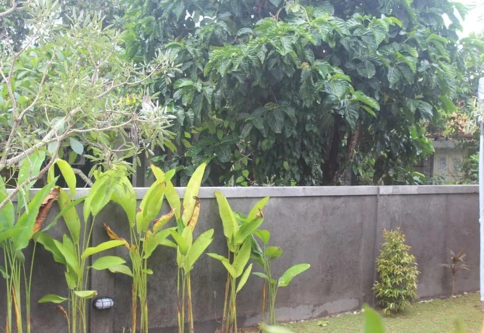 Adi Bali Homestay