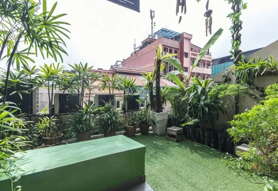 Rain Forest Hotel