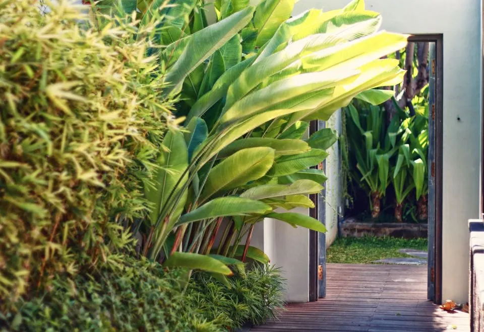 Huu Villa Bali