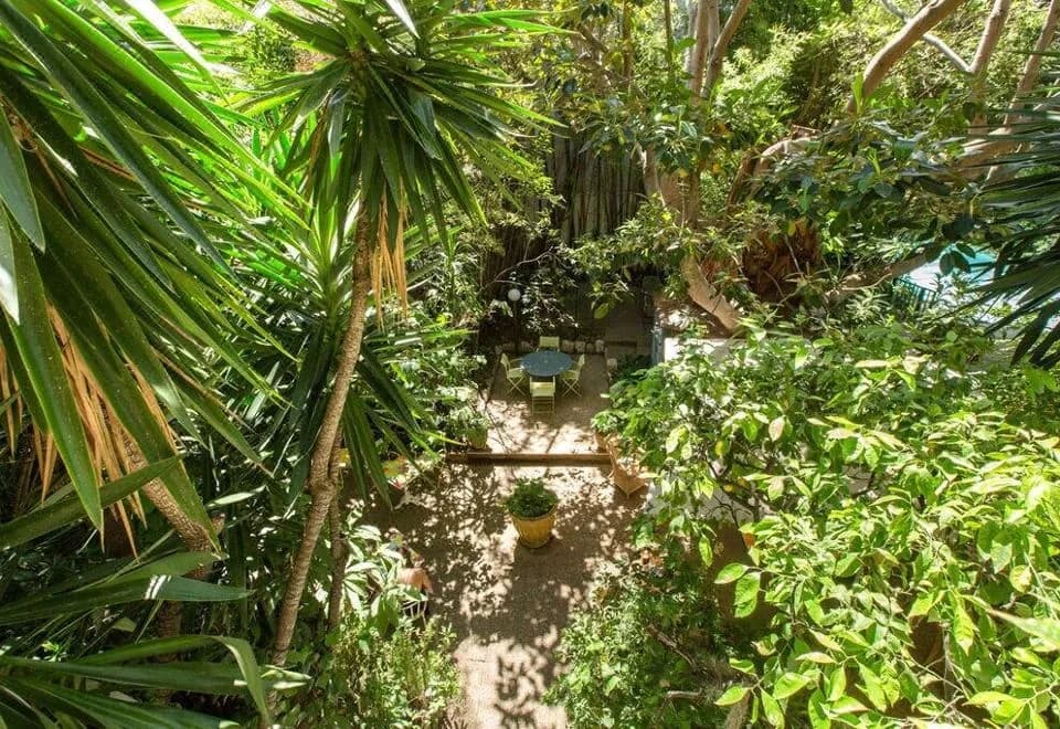 Le Windsor, Jungle Art Hotel