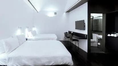 Hotel Mono